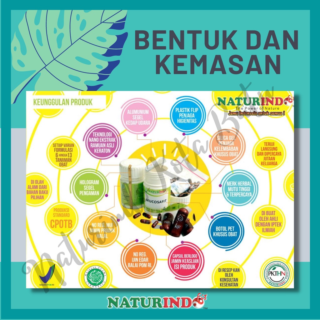 Obat Sinusitis Sinus TBC Batuk Menahun Gurah Paru Paru Radang Sakit Tenggorokan Asma Sesak Nafas Anosmia Herbal BPOM NATURINDO Bron C Fit 40 KAPSUL-5