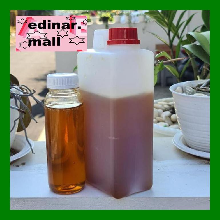 

Edvitxd Madu Randu Curah. Isi Bersih 1Kg S50Edd0