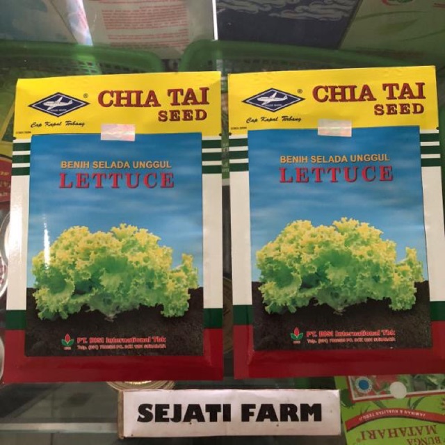 Benih Selada Air - LETTUCE