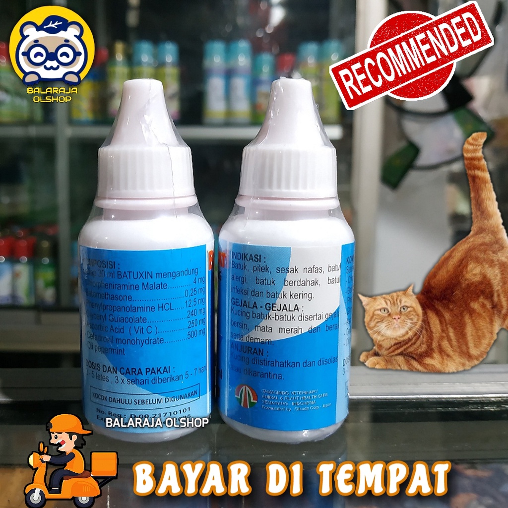 Obat Batuk Kucing Sakit Flu Pilek Batuxin Cat