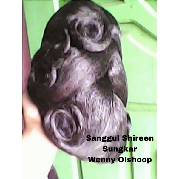 SANGGUL SHIREEN SUNGKAR