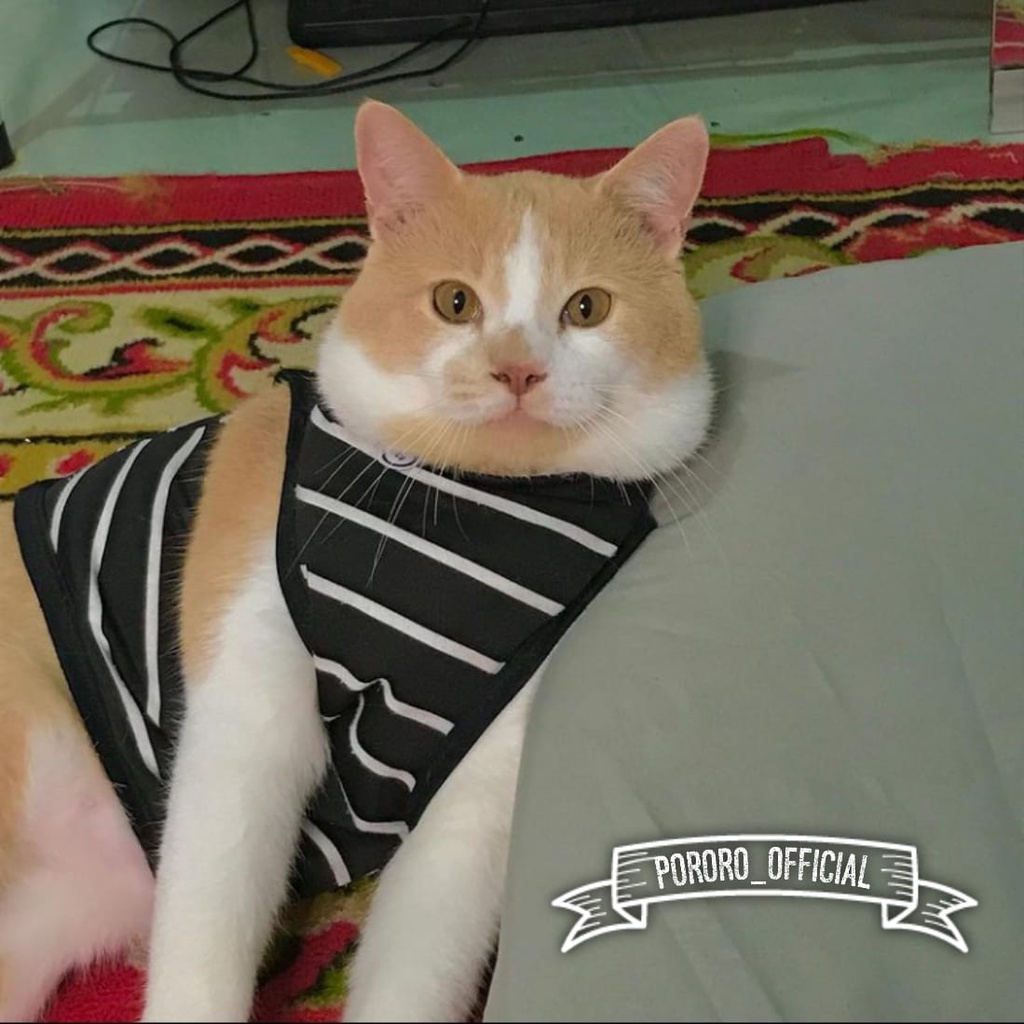 Baju Kucing Murah Lucu Asesoris Hewan Hitam Garis Garis