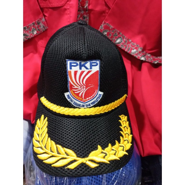 Topi partai PKB