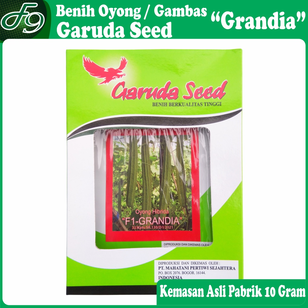 Benih Gambas Oyong Unggul F1 Grandia Garuda Seed Kemasan Pabrik 10 Gram