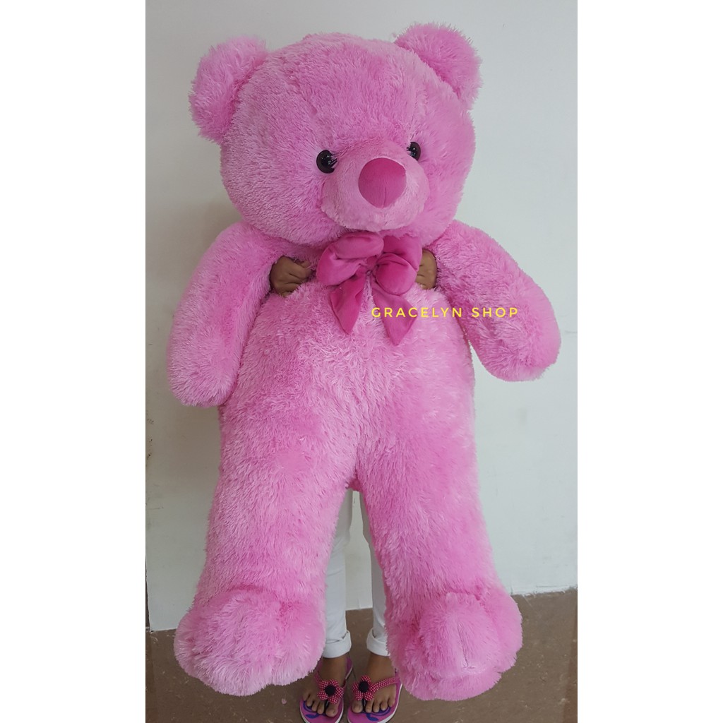 teddy bear in pink