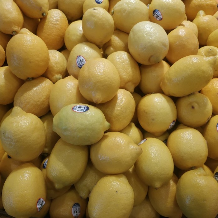 

Jeruk Lemon Sunkist USA 1kg