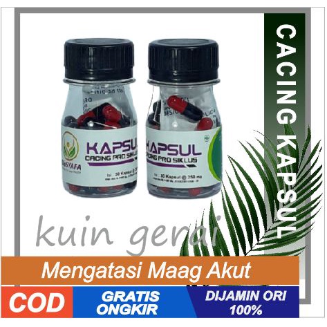 KAPSUL CACING PROBIOTIK BIOSYAFA