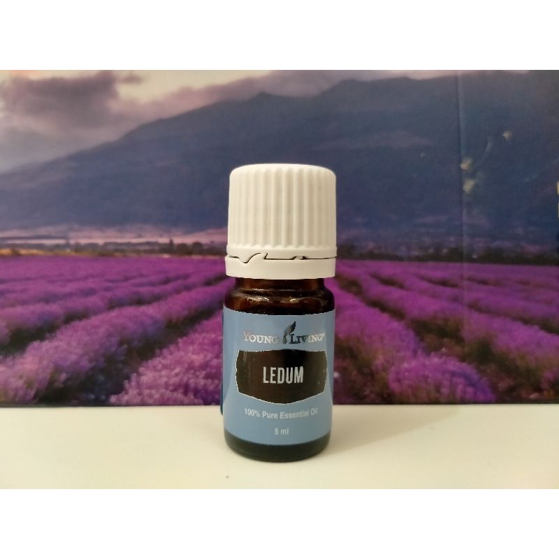 ledum 5ml