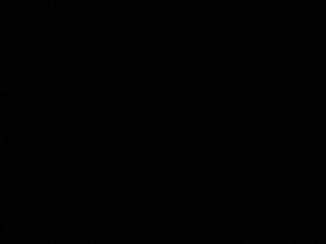 (2kg=3pcs) Bonus Packing Bubble Wrap Calista Otaru Smoke 14pcs