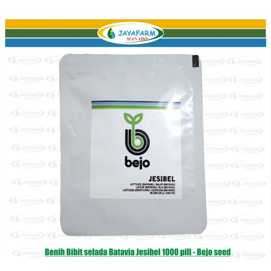 Benih Bibit Selada Batavia Jesibel 1000 pils Bejo Seed