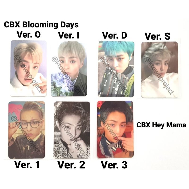 [READY - CLEARANCE SALE] EXO CBX XIUMIN BAEKHYUN CHEN BLOOMING DAYS HEY MAMA PHOTOCARD PC