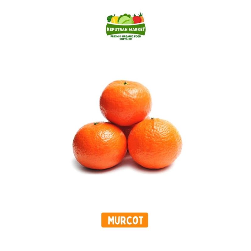 

Jeruk Murcot Per 500gr / Buah Segar