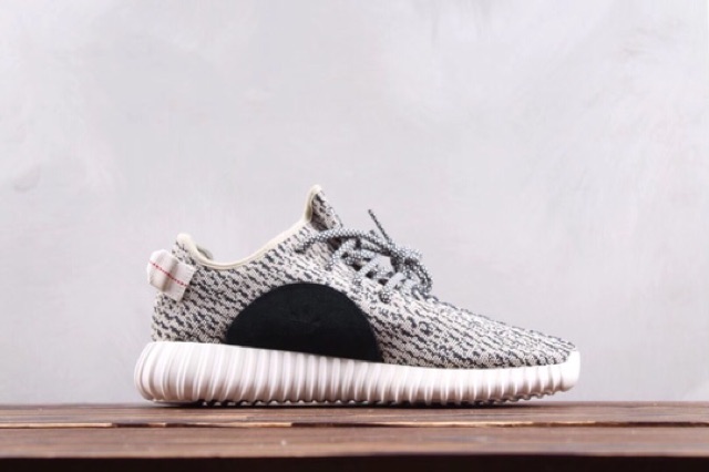 turtle dove v1