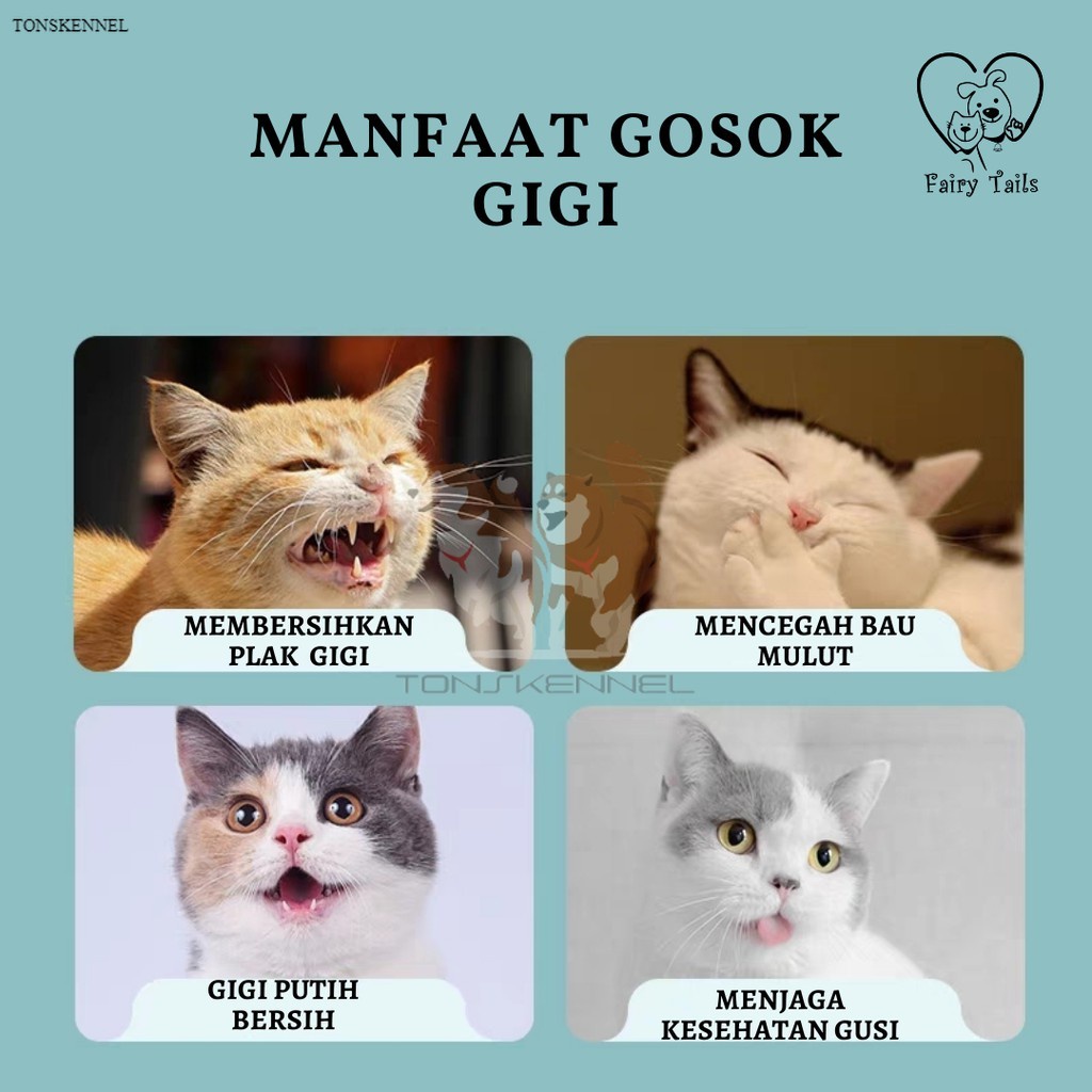 Pasta Gigi Odol Untuk Anjing dan Kucing Anabul Dengan Pilihan Sikat Gigi / Toothbrush Toothpaste Set For Pets