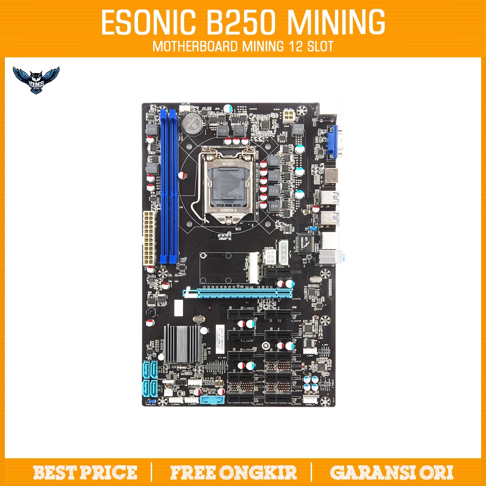 MOBO MINING ESONIC B250 12 SLOT DDR4 INTEL LGA1151