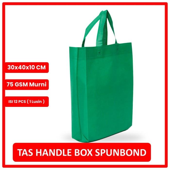 

Goodiebag Tas Box Spunbond Handle Lusinan 30X40X10 / Goodiebag Handle /Hijau Tua