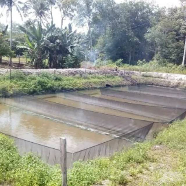 Waring keramba doble RK ukuran 4x6  meter tinggi  2 meter