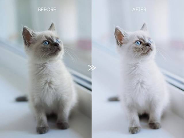 PRESET LIGHTROOM CLEAN WHITE GARANSI TERMURAH