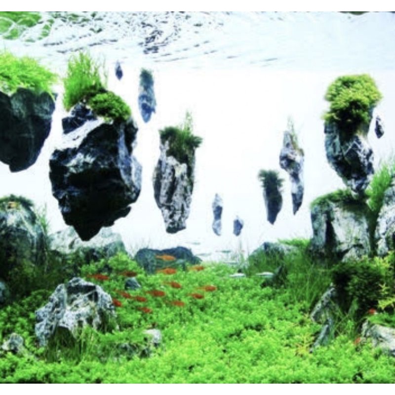 Hiasan Aquarium Floating Rock Batu Aquascape Gantung Avatar Artificial