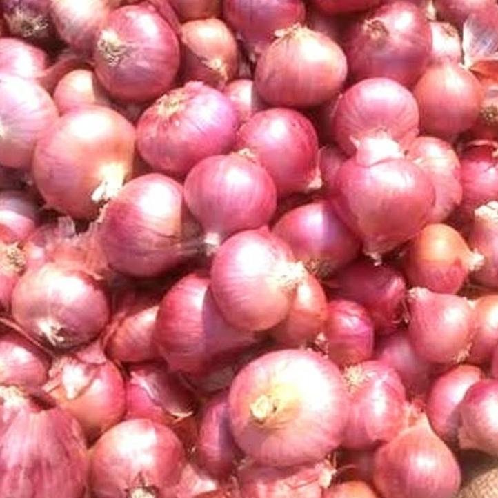 

↦ BAWANG MERAH INDIA 1KG MURAH BANGET ↓