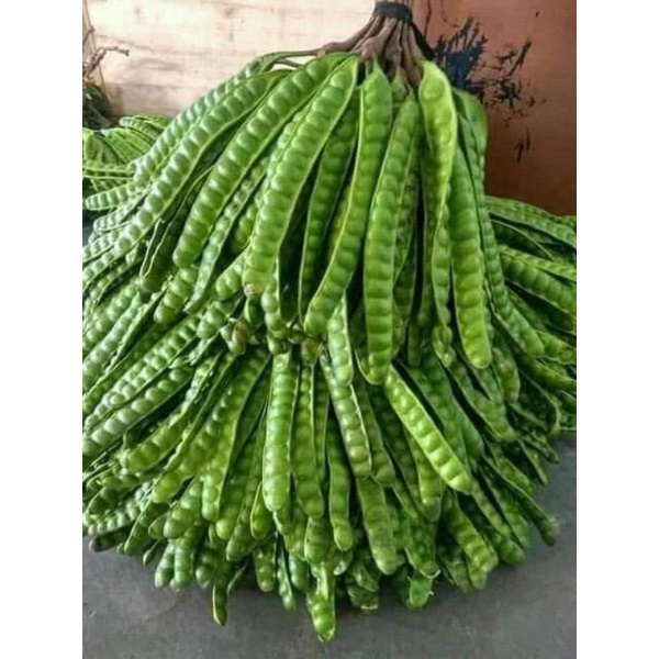 

Pete/ Petai Segar/ Pete per Papan / Sayur Pete / Petai Lalap