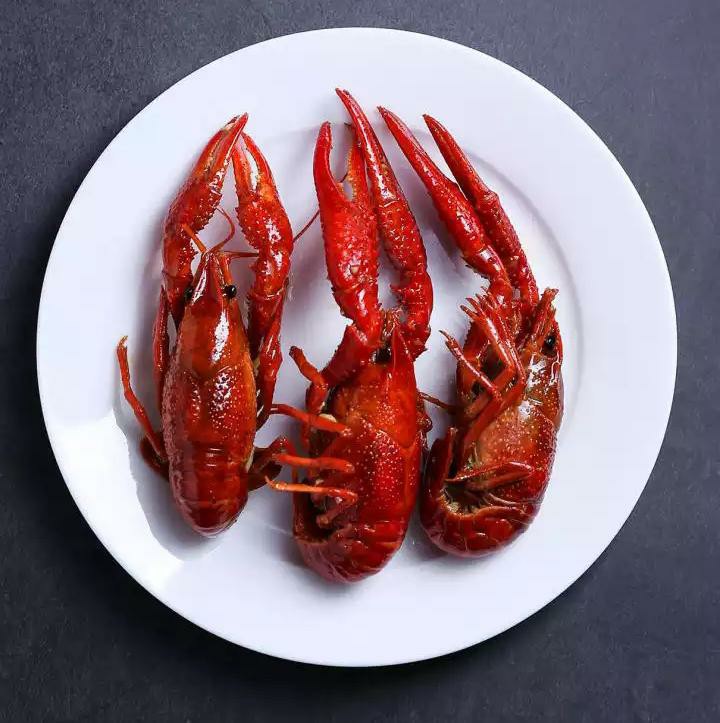 Regulator Selang Paket Quantum Qrl 032