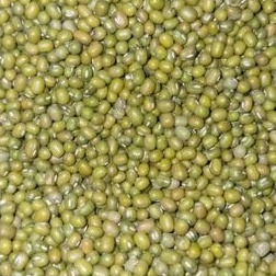 

Kacang Hijau Ijo 50 KG Super Premium Murah Green Beans - Bambu Wangi