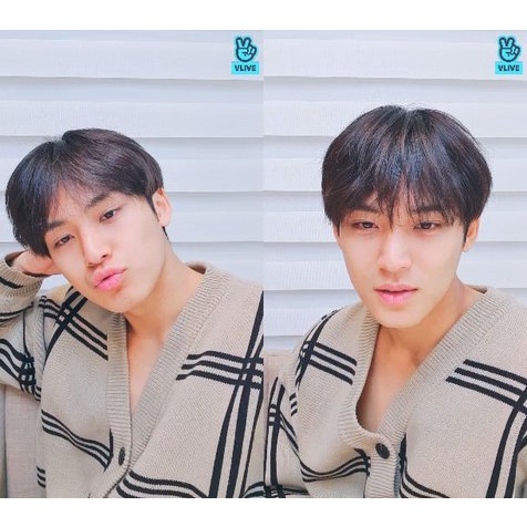 Ready stok mingyu cardi asclo yuta cardi  cardi rajut premium