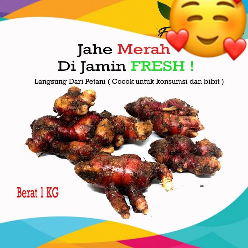 

Jahe merah