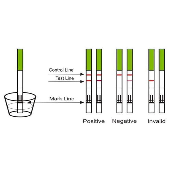 Tes Hamil HAM-L TEST : Alat Testpack Kehamilan (Murah, Cepat, Akurat)-1