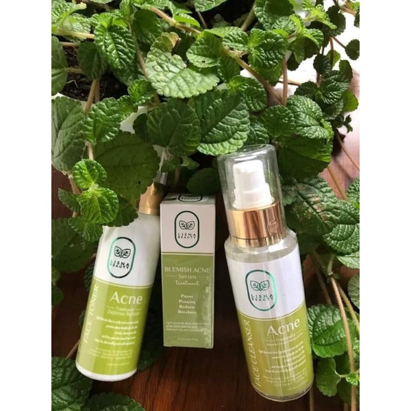 LISNA BEAUTY ACNE PACKAGE