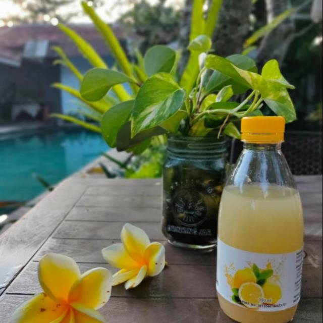 

Lemon sulthan/ pure sari lemon california