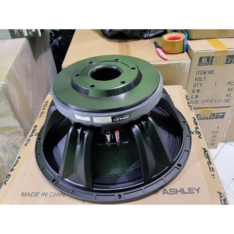 Speaker Ashley 18V500 18 V500