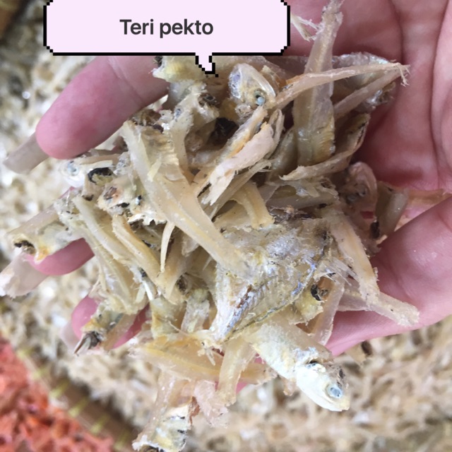 

Teri pekto asli batubara