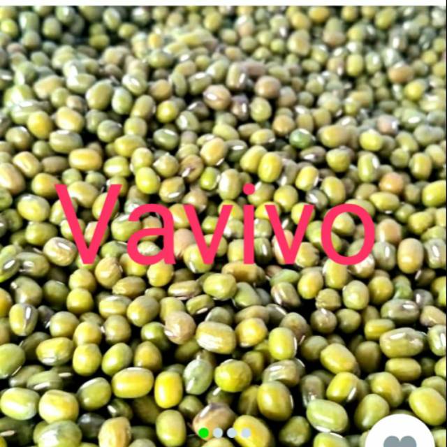 

KACANG HIJAU 500 gr / 1/2 KG