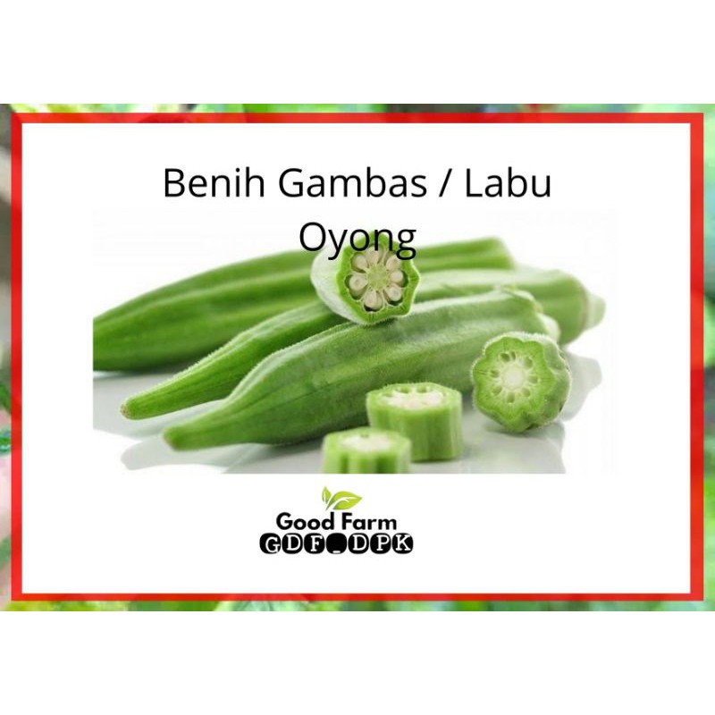 BENIH OYONG PRIMA F1 KEMASAN EKONOMIS ISI 6 SEED