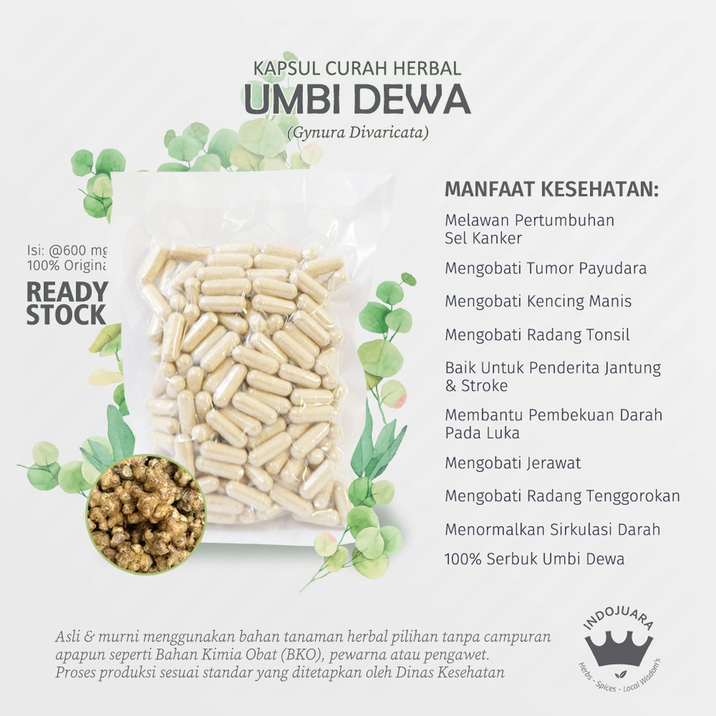 

UMBI DEWA 200x600mg Kapsul Curah Herbal Kanker Tumor Payudara Radang Tonsil Diabetes Jerawat Stroke