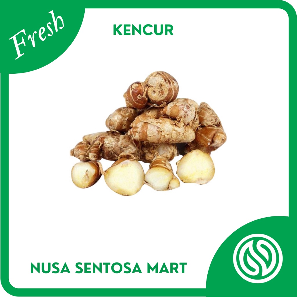 

Bumbu Kencur Segar – 250g