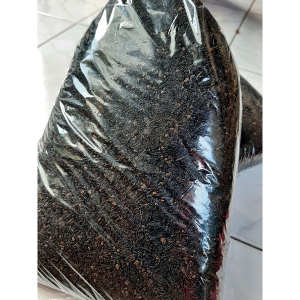 Media Tanam Kaktus Sukulen 1kg