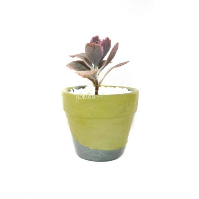 Pot Tanah Liat/Clay Pot Aylin