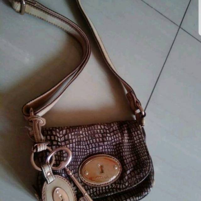 Fossil maddox snake skin small