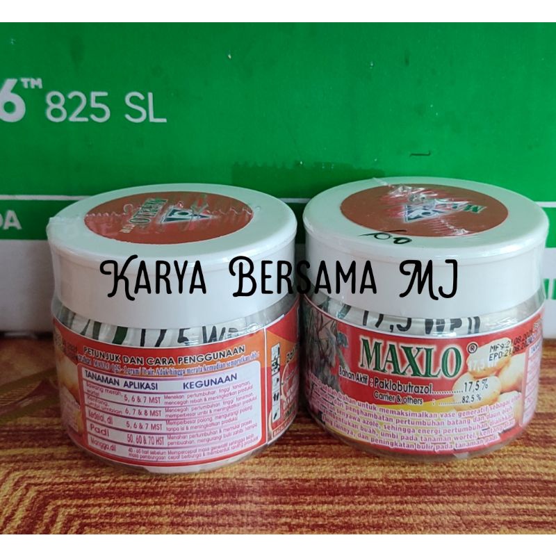 MAXLOW 17,5 WP ZPT PEMBESAR UMBI