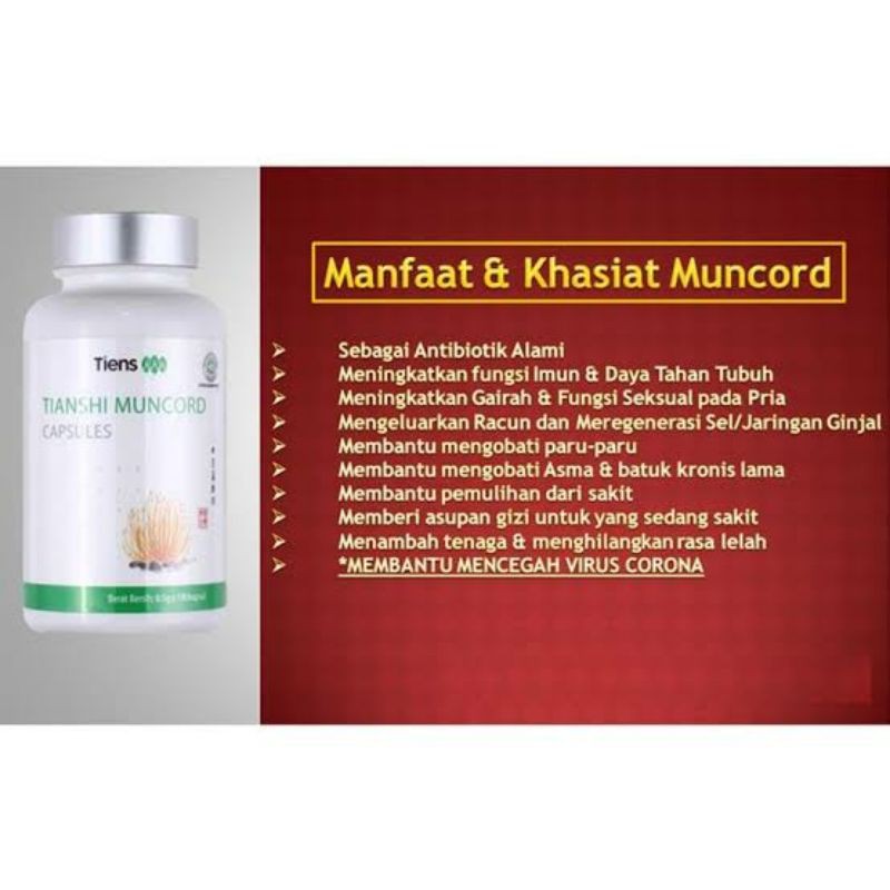 Rotan Keras Permanen