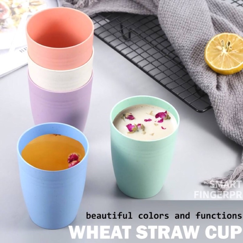 Gelas Wheat Straw Kopi Mug Cangkir Gelas Gandum BPA Free 100463