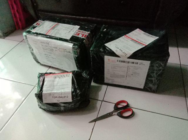 Siger Ciki Lengkung / Siger Ciki Cabang 1 / Siger Citra Kirana