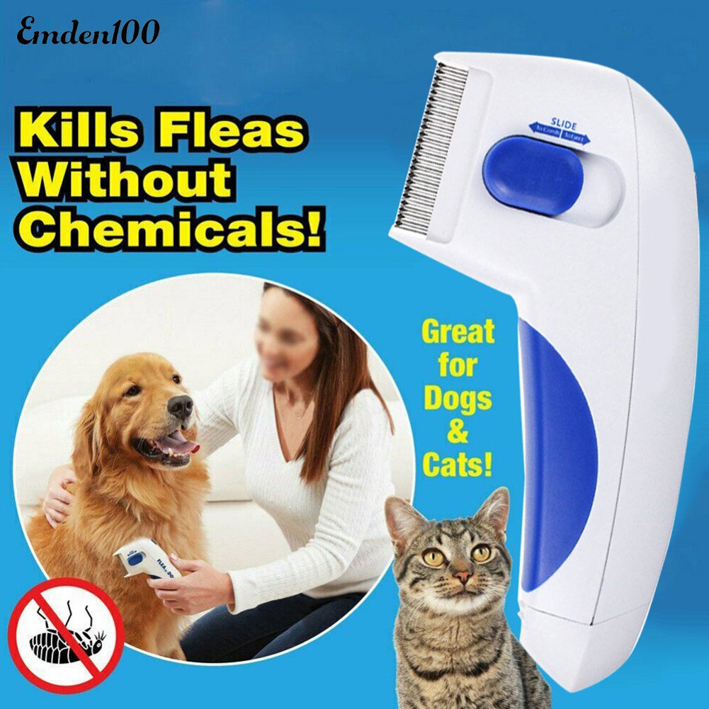 dog grooming for fleas