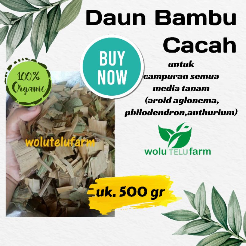 Daun bambu cacah untuk campuran media tanam (andam) dan POC 500gr