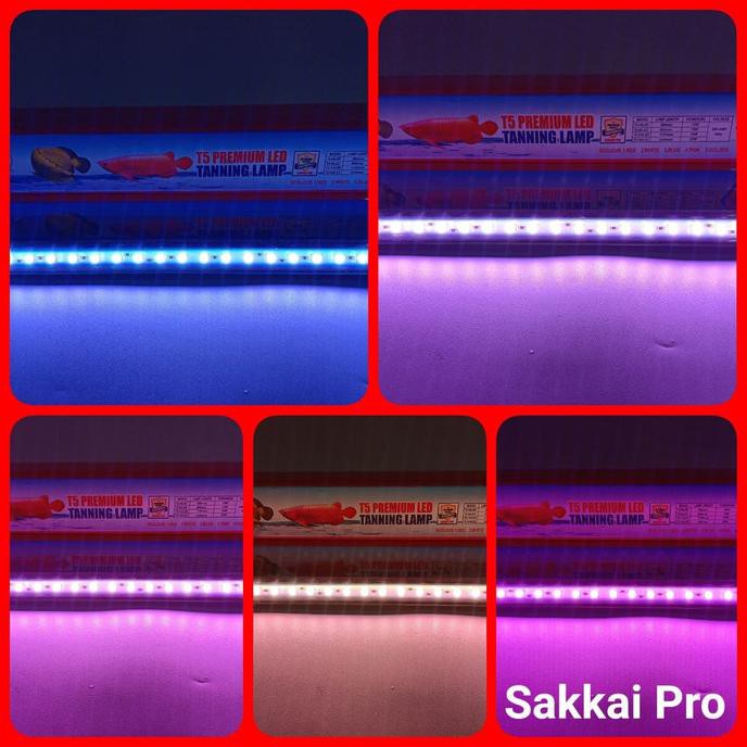 NEW SALE LAMPU TANNING T5-118 LED LAMPU AQUARIUM 5 WARNA SAKKAI PRO