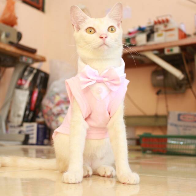 Kaos tuxedo baby pink untuk kucing dan anjing /Jual Baju Kucing Terlengkap &amp; Berkualitas size S-XL