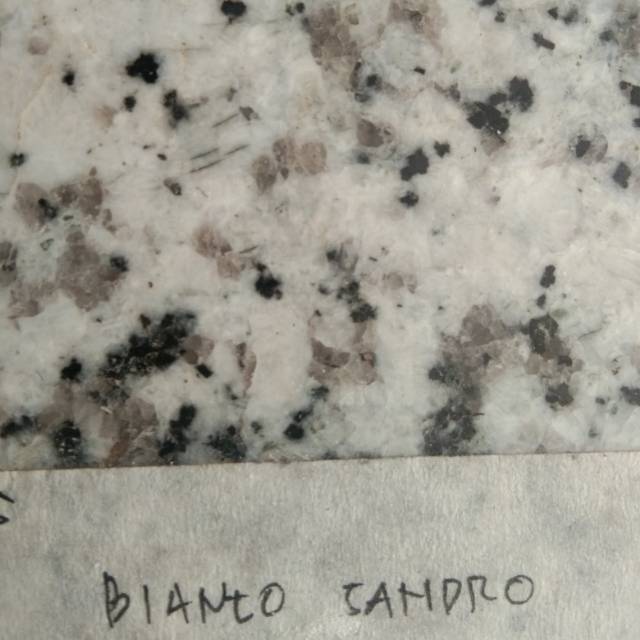 biantro sandro